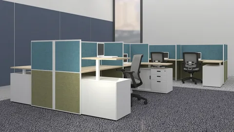 Workstation Partition